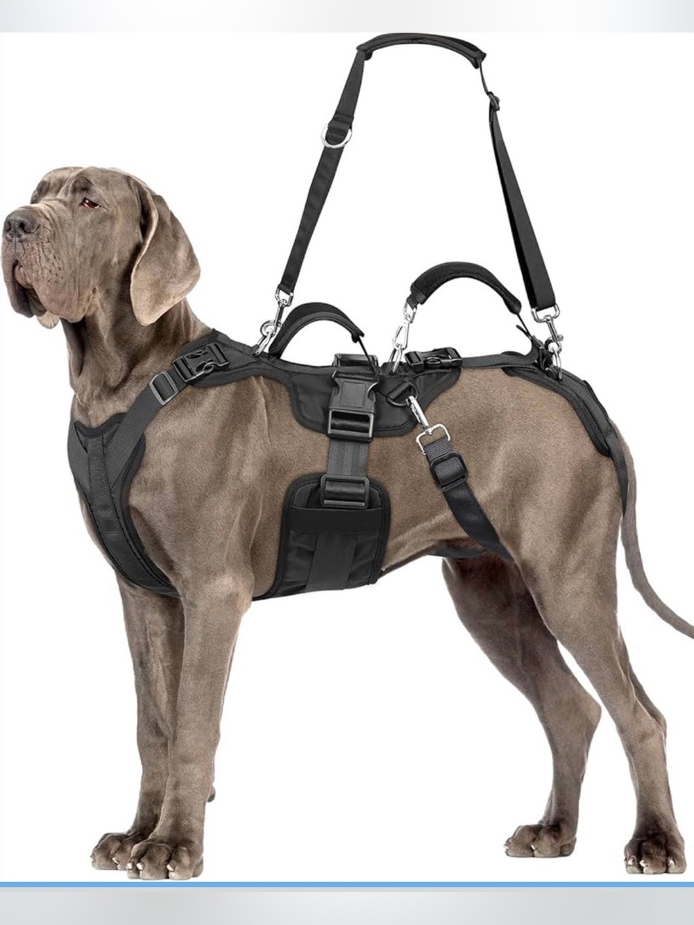 Dog Lift Harness, Dog Support & Recovery Sling Size XL